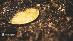 یک کلید خصوصی بیت کوین مربوط به سال ۲۰۱۱ با ۴ میلیون دلار ارزش پیدا شد