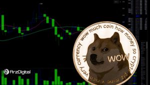 شما هم قصد خرید دوج کوین را دارید؟ سه ریسک که باید در نظر بگیرید