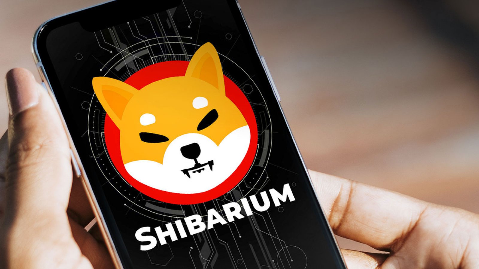 افزایش فروش شیبا اینو و بون شیباسواپ بهدلیل انتشار اخبار مربوط به کپی بودن Chain ID شیباریوم
