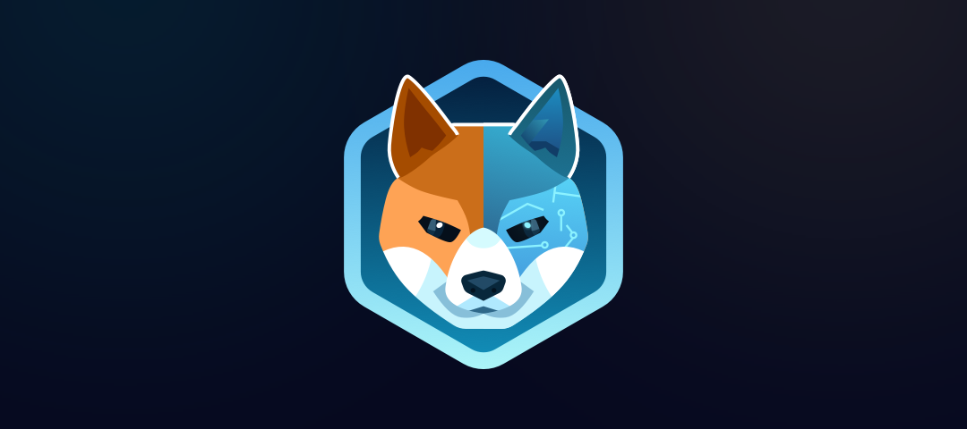 قیمت AIDOGE طی ۳ روز گذشته نصف شده است