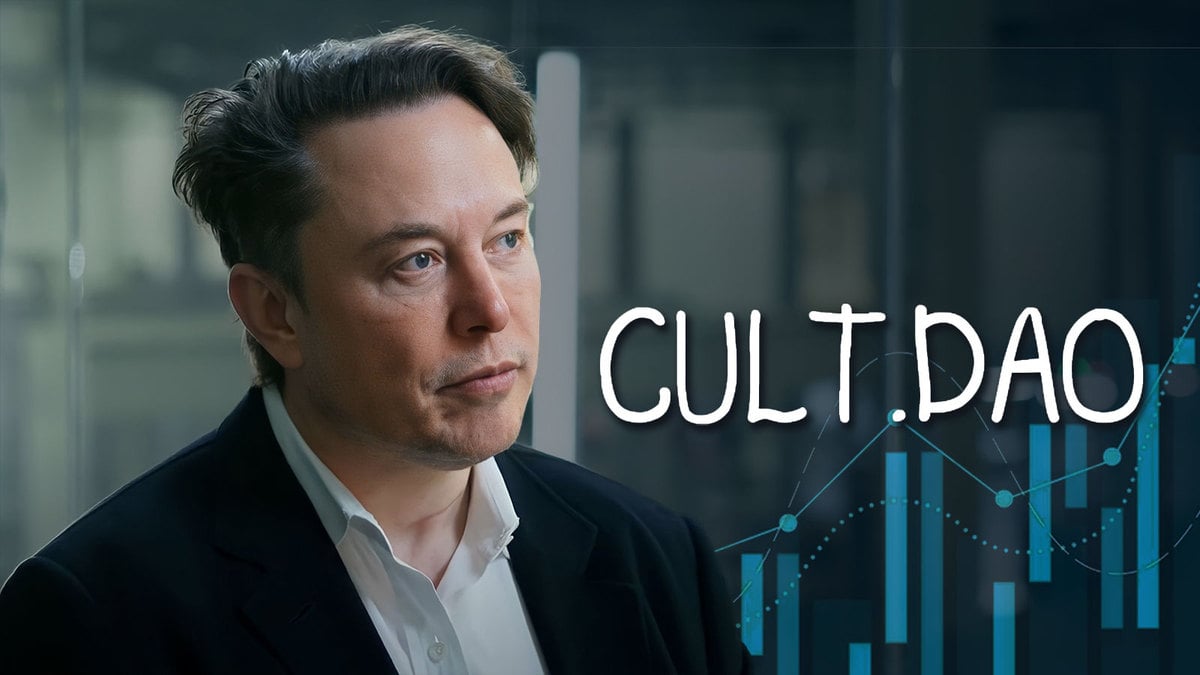 رشد ۵۰درصدی توکن کالت دائو پس از توییت ایلان ماسک