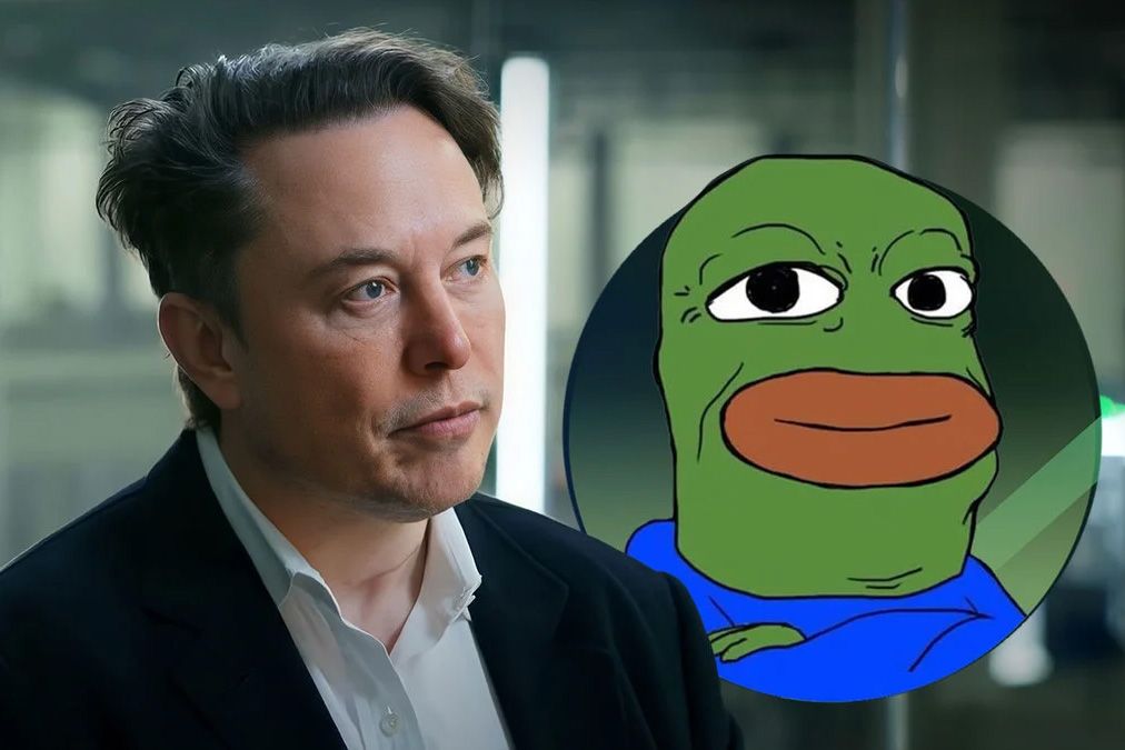 حساب توییتری مرتبط با میم کوین «باب» پس از ادعای کلاهبرداری توسط ایلان ماسک به حالت تعلیق درآمد