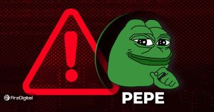 حواستان را جمع کنید، میم کوین ها همیشه سود ندارند!