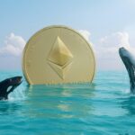 نهنگ‌ها در حال بلعیدن اتریوم! تسلط سرمایه‌گذاران بزرگ باعث سقوط قیمت ETH می‌شود؟