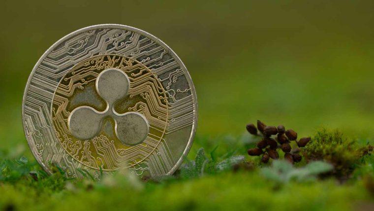 ریپل صندوق ۲۵ میلیون دلاری RLUSD برای حمایت از آموزش در آمریکا راهاندازی کرد