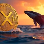 سناریو‌های قیمت ریپل در ماه ژوئن؛ نهنگ‌های XRP چه برنامه‌ای در سر دارند؟