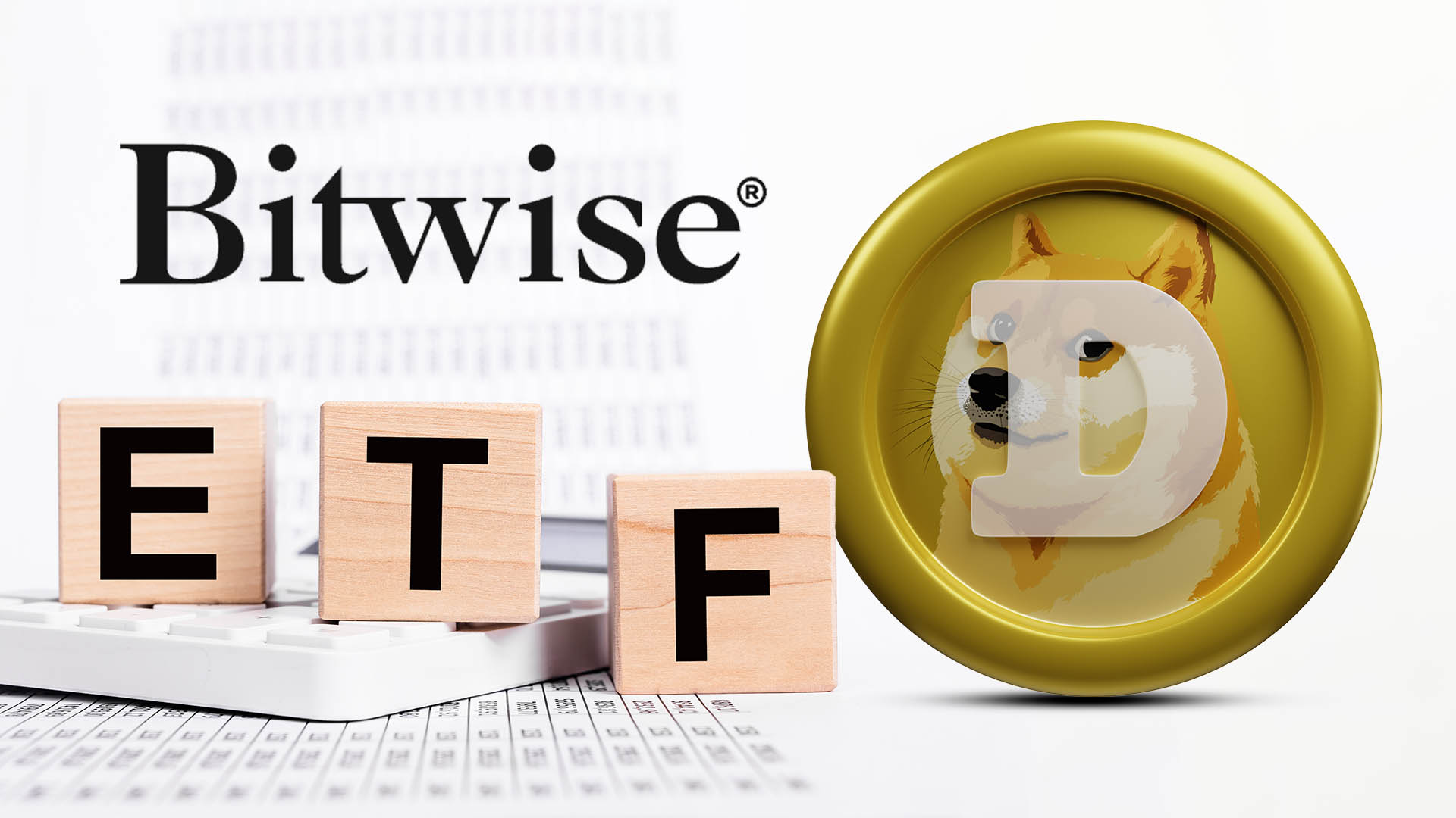شرکت بیت وایز درخواست ETF دوج کوین خود را اصلاح کرد