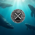 نهنگ‌های ریپل فرصت خرید XRP را غنیمت شمردند!