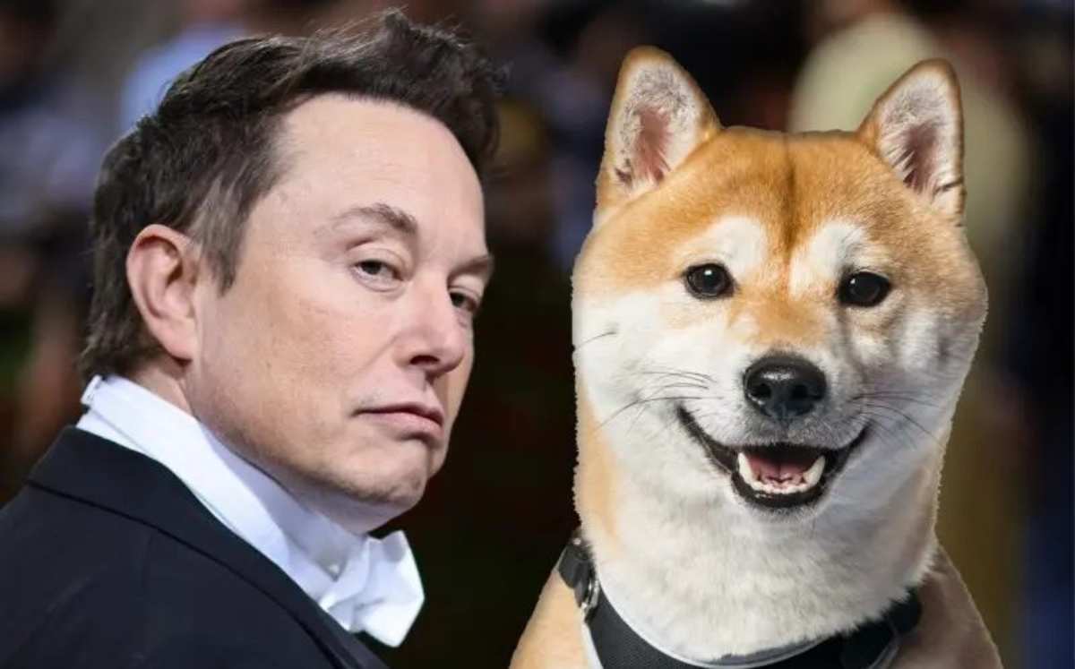ایلان ماسک با انتشار یک توییت قیمت میم کوین فلوکی را پامپ کرد!