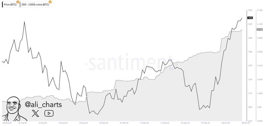 تحلیل آنچین بیت کوین