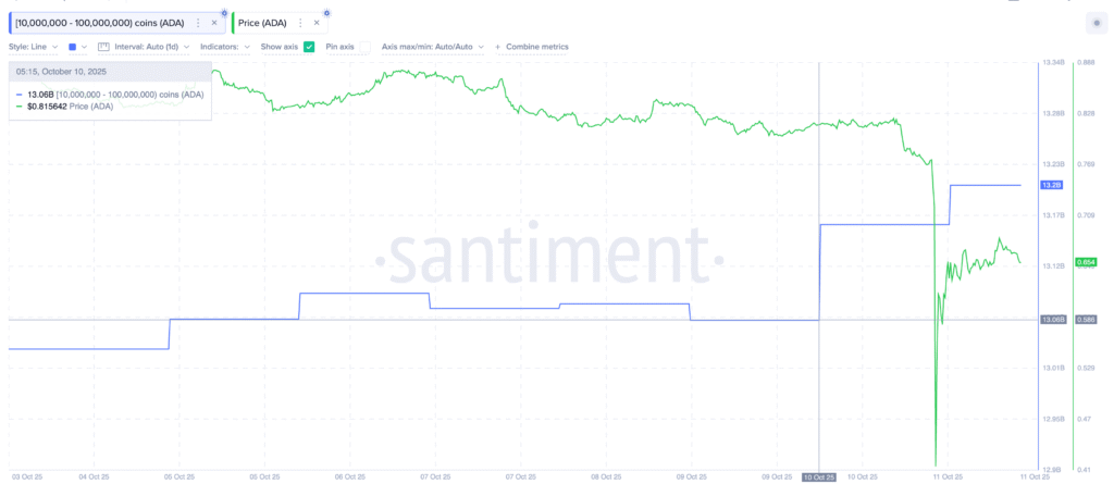 حمایت نهنگها و معاملهگران خرد از بازیابی قیمت کاردانو نهنگ های کاردانو