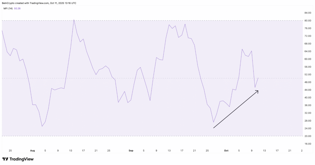 حمایت نهنگها و معاملهگران خرد از بازیابی قیمت کاردانو حمایت نهنگها و معاملهگران خرد از بازیابی قیمت کاردانو