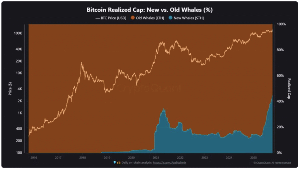 کریپتوکوانت: بازار بیت کوین وارد فاز سرخوشی شده است کریپتوکوانت: بازار بیت کوین وارد فاز سرخوشی شده است