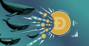 افزایش فعالیت نهنگ‌های دوج کوین؛ چرا همه نگاه‌ها به سطح ۰.۲ دلار دوخته شده است؟