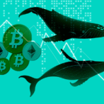 خروج شدید سرمایه از بیت کوین و اتریوم؛ مقصد بعدی نهنگ‌ها کجاست؟