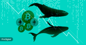 خروج شدید سرمایه از بیت کوین و اتریوم؛ مقصد بعدی نهنگ‌ها کجاست؟