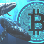 نهنگ‌های بیت کوین در حال فروش هستند؛ نگران سقوط بیشتر قیمت BTC باشیم؟