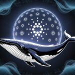 حرکت هوشمندانه نهنگ‌های کاردانو؛ رالی بزرگ ADA در راه است؟