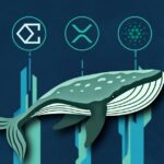 نهنگ‌ها کدام ارزها را برای ماه دسامبر خریدند؟ این ۳ آلت کوین را از دست ندهید!