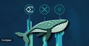 نهنگ‌ها کدام ارزها را برای ماه دسامبر خریدند؟ این ۳ آلت کوین را از دست ندهید!