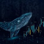 تحرکات نهنگ‌ها با برگشت بازار: وال‌ها چه ارزهایی را خریدند؟