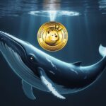 بازگشت نهنگ‌ها به بونک: آیا وقت خرید BONK فرا رسیده است؟