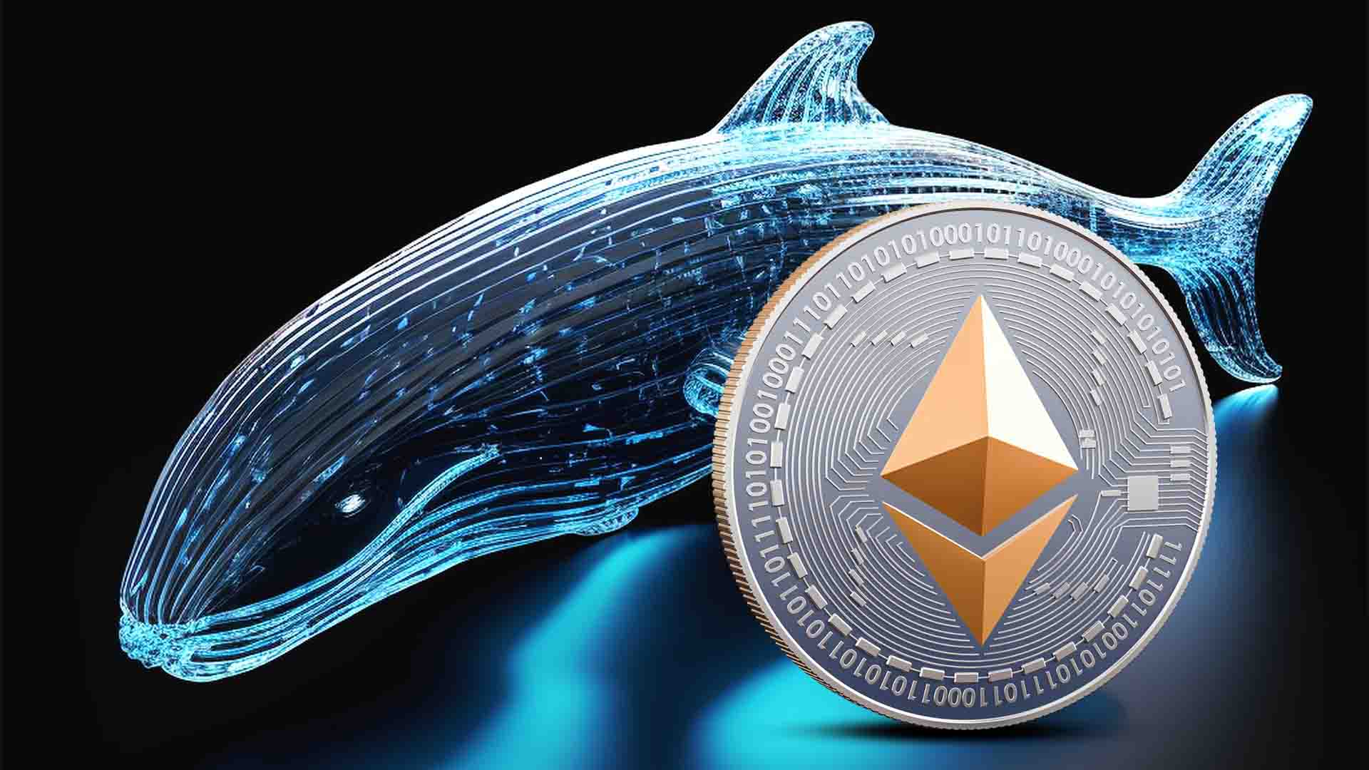 افزایش شدید حجم سفارش‌های اتریوم توسط نهنگ‌ها