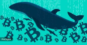 نهنگ‌های بیت کوین چه چیزی را می‌بینند که از چشم ما پنهان است؟ نحوه خواندن حرکات وال‌ها