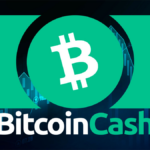 بیت‌ کوین‌ کش با جهش ۴۰ درصدی بهترین دارایی لایه‌یک سال شد