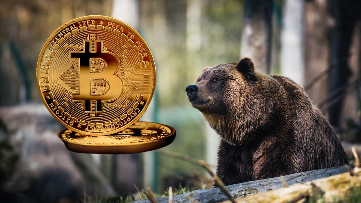 هشدار تحلیل‌گران کریپتو کوانت دربارهٔ ورود بیت‌ کوین به فاز بازار خرسی
