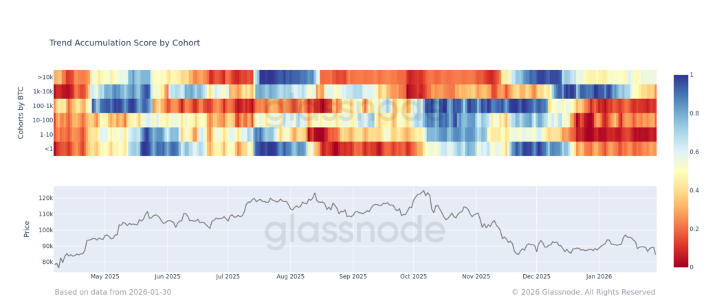 خرید بیت کوین توسط نهنگ‌ها در روند نزولی بازار
