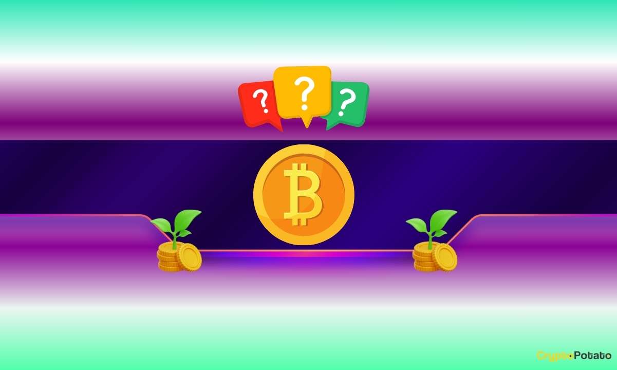 تحلیلگر بازار: سقوط اخیر بیت کوین می‌تواند پیش‌زمینه یک رالی صعودی بزرگ باشد