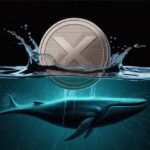 تحلیل جامع ریپل: چرا نهنگ‌ها همچنان در حال خرید ریپل هستند؟