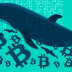 فعالیت نهنگ‌های BTC به اوج ۹ ماهه رسیده؛ اما چرا بیت کوین صعودی نمی‌‌شود؟