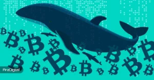 فعالیت نهنگ‌های BTC به اوج ۹ ماهه رسیده؛ اما چرا بیت کوین صعودی نمی‌‌شود؟