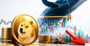 خروج سنگین نهنگ‌ها همزمان با رسیدن دوج کوین به مقاومت حساس