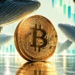 ظهور دو سیگنال متضاد در بیت کوین که می‌توانند سرنوشت قیمت را تغییر دهند