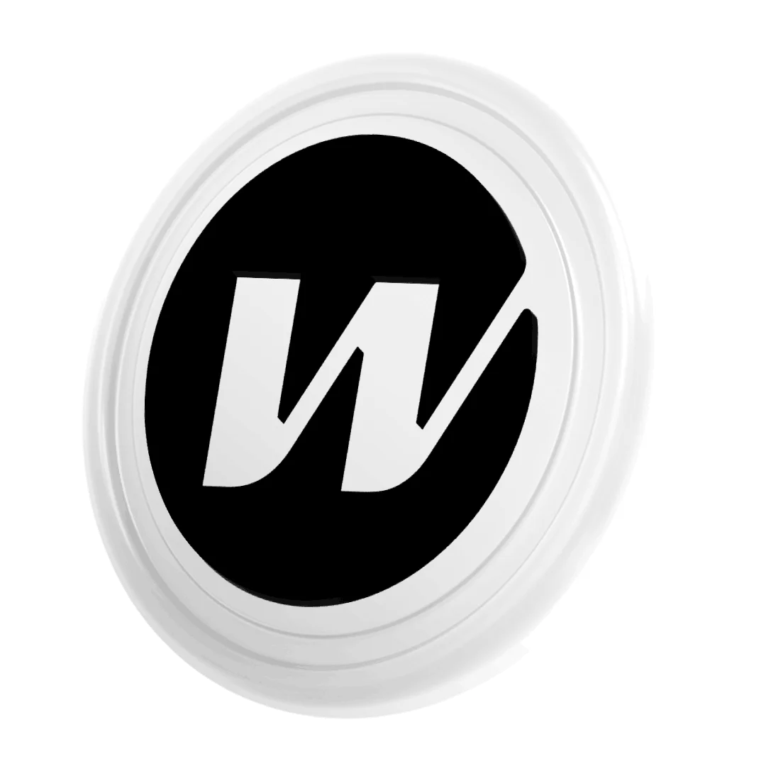 Wormhole
