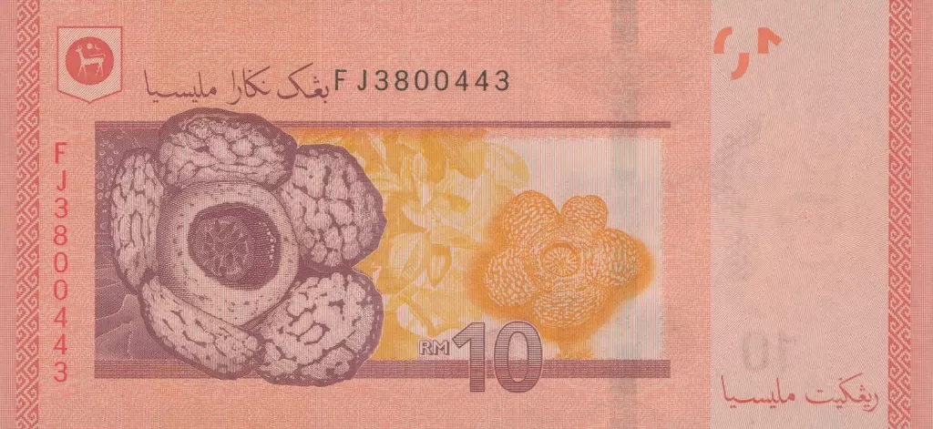 سکه یا اسکناس رینگیت مالزی