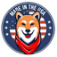 American Shiba