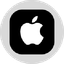 Apple Tokenized Stock (Ondo)