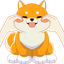 Baby Shiba Inu