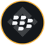 Blackberry Tokenized bStocks