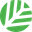 Canopy