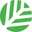 Canopy
