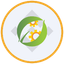 CEA Industries Tokenized bStocks