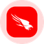 CrowdStrike Holdings Inc (Derivatives)