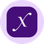 Direxion Daily Semi Bull 3X ETF Tokenized ETF (Ondo)