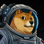 DOGE-1 Satellite