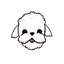 Fluffy Coin